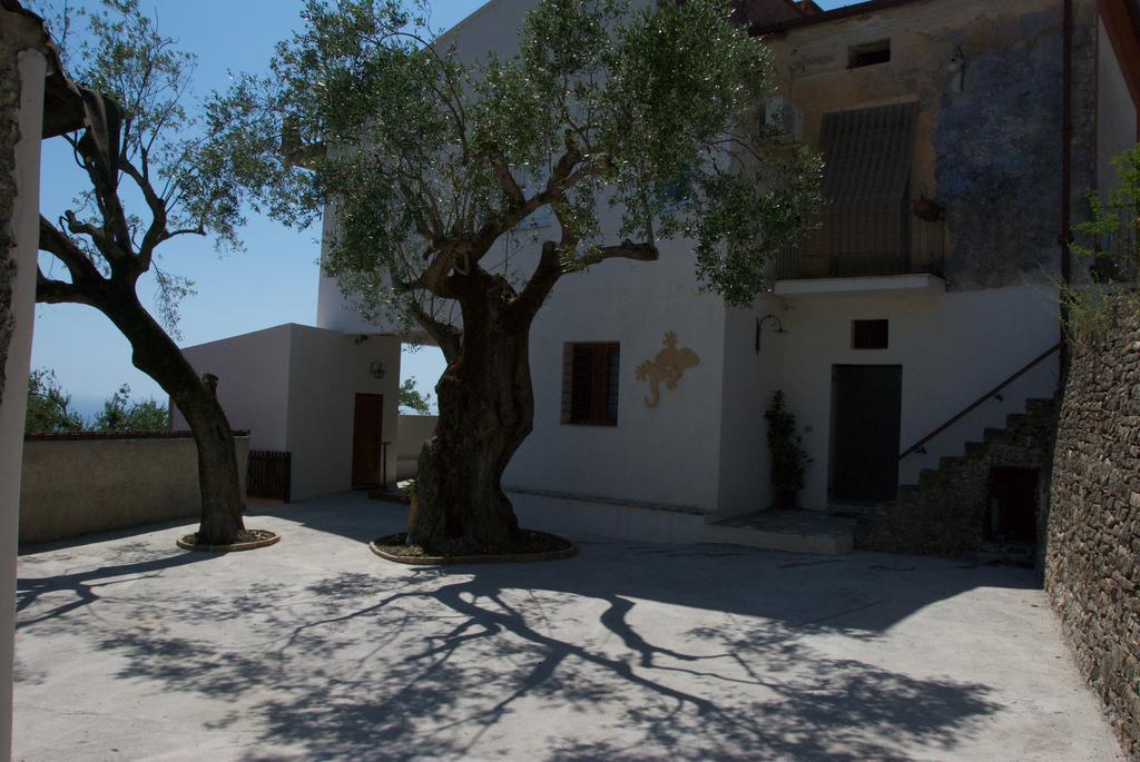 Santo Mercurio Country House Pisciotta Exteriér fotografie