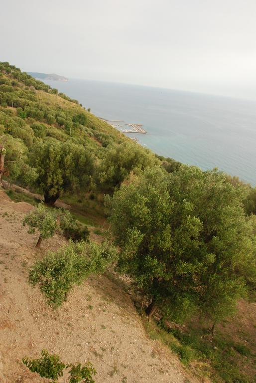 Santo Mercurio Country House Pisciotta Exteriér fotografie